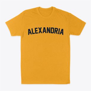 Alexandria Nebraska Classic Curve Classic Dad T-Shirt