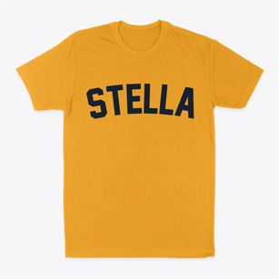 Stella Nebraska Classic Curve Classic Dad T-Shirt