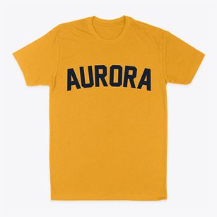 Aurora Kansas Classic Curve Classic Dad T-Shirt