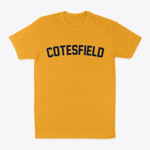 Cotesfield Nebraska Classic Curve Classic Dad T-Shirt