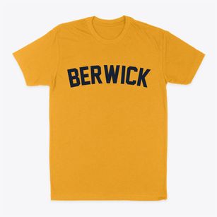 Berwick Pennsylvania Classic Curve Classic Dad T-Shirt