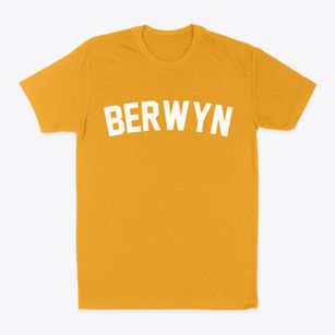 Berwyn Illinois Classic Curve Classic Dad T-Shirt