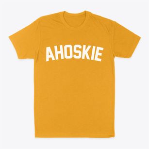 Ahoskie North Carolina Classic Curve Classic Dad T-Shirt