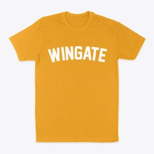 Wingate North Carolina Classic Curve Classic Dad T-Shirt