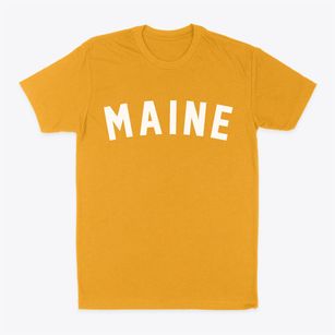 Maine Wisconsin Classic Curve Classic Dad T-Shirt