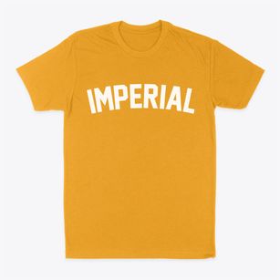 Imperial Nebraska Classic Curve Classic Dad T-Shirt