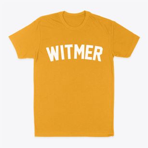 Witmer Pennsylvania Classic Curve Classic Dad T-Shirt