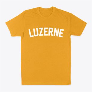 Luzerne Iowa Classic Curve Classic Dad T-Shirt