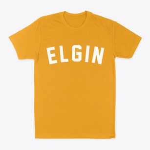 Elgin Kansas Classic Curve Classic Dad T-Shirt