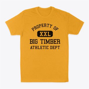 Big Timber Montana Athletic Dept Classic Dad T-Shirt