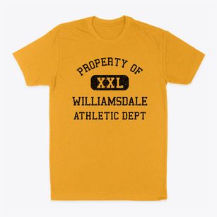 Williamsdale Ohio Athletic Dept Classic Dad T-Shirt