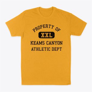 Keams Canyon Arizona Athletic Dept Classic Dad T-Shirt