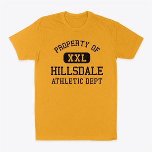 Hillsdale New Jersey Athletic Dept Classic Dad T-Shirt