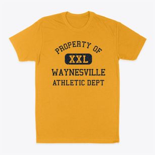Waynesville Missouri Athletic Dept Classic Dad T-Shirt