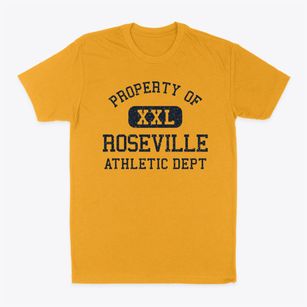 Roseville Minnesota Athletic Dept Classic Dad T-Shirt
