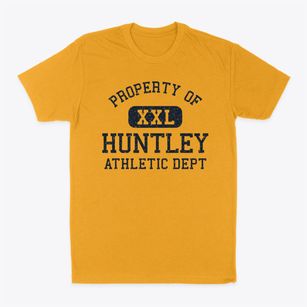 Huntley Illinois Athletic Dept Classic Dad T-Shirt