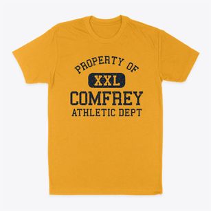Comfrey Minnesota Athletic Dept Classic Dad T-Shirt