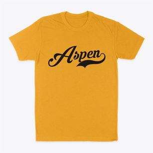 Aspen Colorado Vintage Team Classic Dad T-Shirt