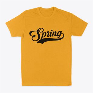 Spring Texas Vintage Team Classic Dad T-Shirt