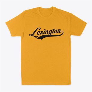 Lexington Missouri Vintage Team Classic Dad T-Shirt