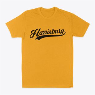 Harrisburg Pennsylvania Vintage Team Classic Dad T-Shirt