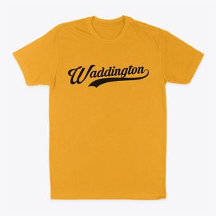 Waddington New York Vintage Team Classic Dad T-Shirt