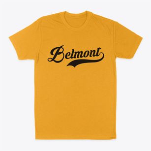 Belmont Massachusetts Vintage Team Classic Dad T-Shirt
