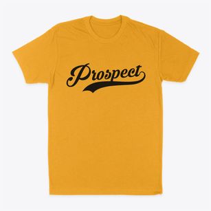 Prospect North Carolina Vintage Team Classic Dad T-Shirt