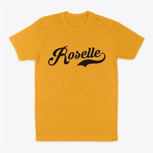 Roselle New Jersey Vintage Team Classic Dad T-Shirt