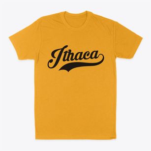 Ithaca Wisconsin Vintage Team Classic Dad T-Shirt
