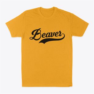 Beaver Ohio Vintage Team Classic Dad T-Shirt