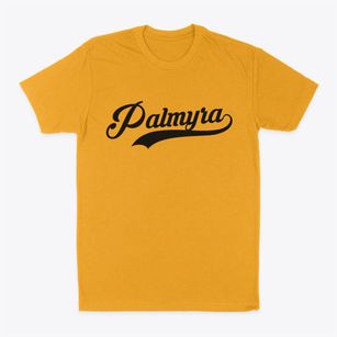 Palmyra New York Vintage Team Classic Dad T-Shirt