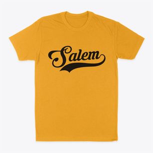Salem Illinois Vintage Team Classic Dad T-Shirt