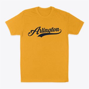 Arlington Virginia Vintage Team Classic Dad T-Shirt