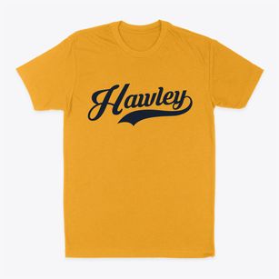 Hawley Minnesota Vintage Team Classic Dad T-Shirt