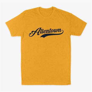 Allentown New Jersey Vintage Team Classic Dad T-Shirt