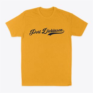 Port Dickinson New York Vintage Team Classic Dad T-Shirt