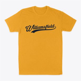 Williamsfield Illinois Vintage Team Classic Dad T-Shirt