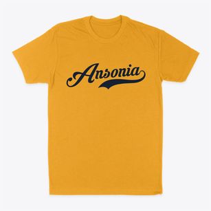 Ansonia Connecticut Vintage Team Classic Dad T-Shirt