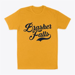 Brasher Falls New York Vintage Team Classic Dad T-Shirt