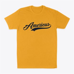 Americus Indiana Vintage Team Classic Dad T-Shirt