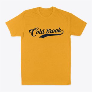 Cold Brook New York Vintage Team Classic Dad T-Shirt