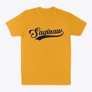 Saginaw Missouri Vintage Team Classic Dad T-Shirt