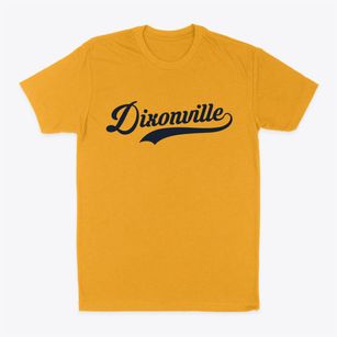 Dixonville Florida Vintage Team Classic Dad T-Shirt