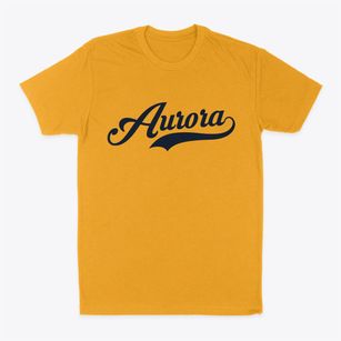 Aurora Missouri Vintage Team Classic Dad T-Shirt
