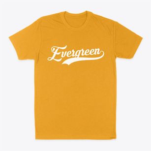 Evergreen Alabama Vintage Team Classic Dad T-Shirt