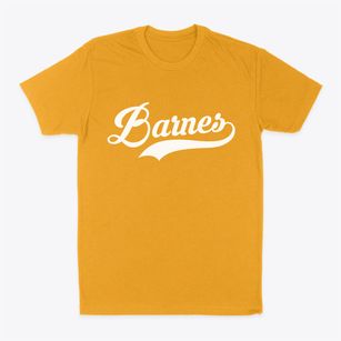 Barnes Wisconsin Vintage Team Classic Dad T-Shirt