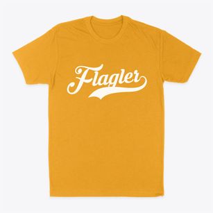 Flagler Colorado Vintage Team Classic Dad T-Shirt