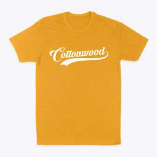 Cottonwood Texas Vintage Team Classic Dad T-Shirt