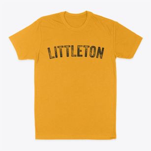 Littleton New Hampshire Timeless Retro Classic Dad T-Shirt